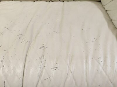 前_トリプルソファ座面アップ２