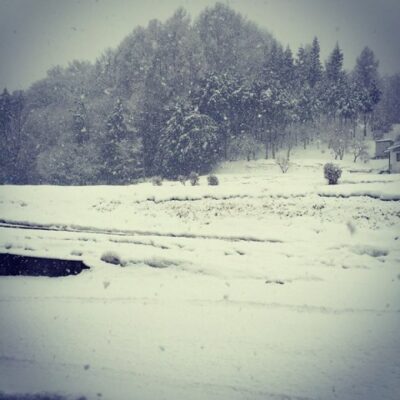 20150115_雪